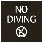 No Diving Sign with Symbol