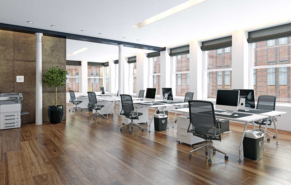 Sustainable office setting with plenty of natural light